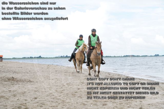 s_K3F05007.JPG